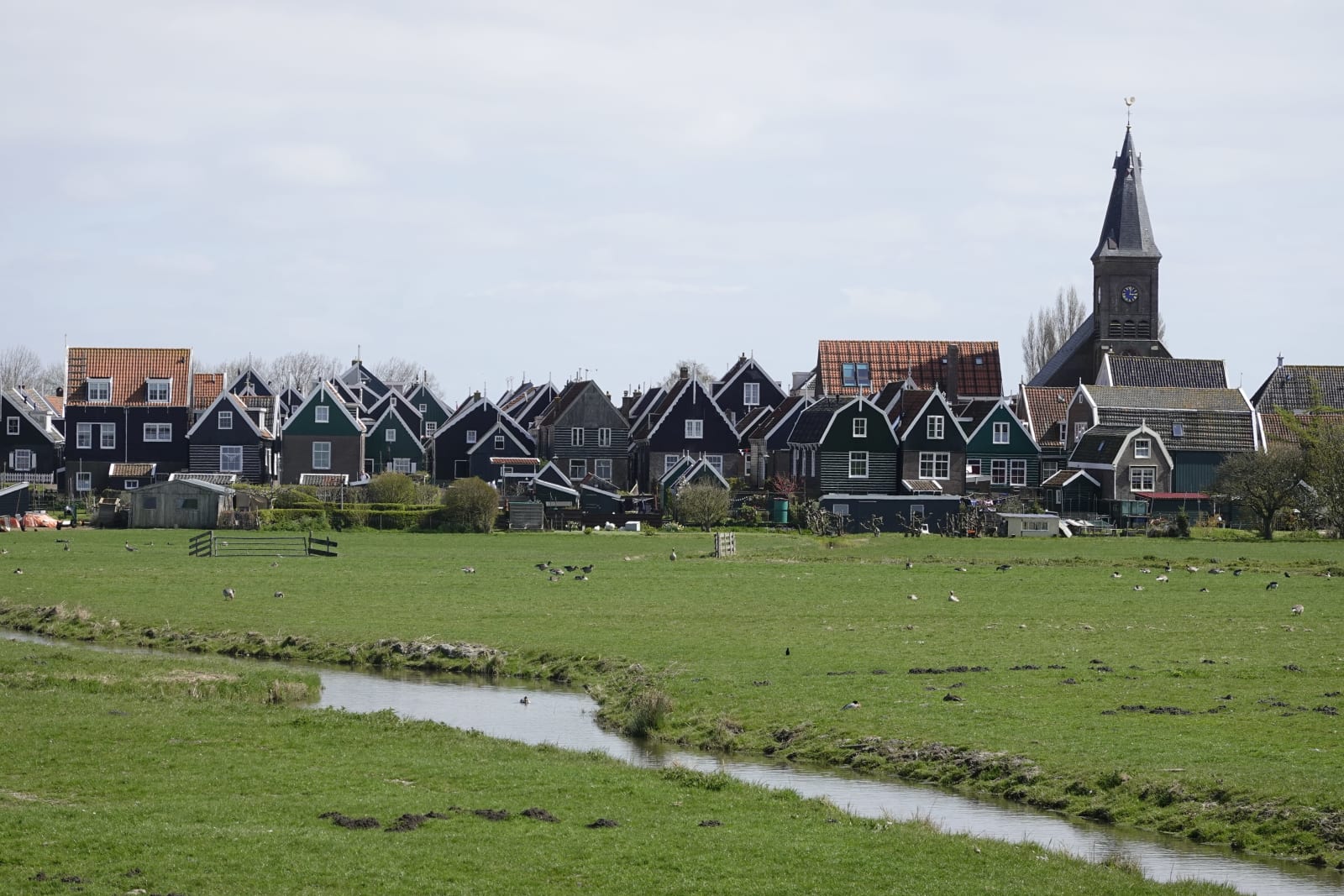 netherlands photo 35dd8950-49dd-5adb-942e-346cb0360ba3