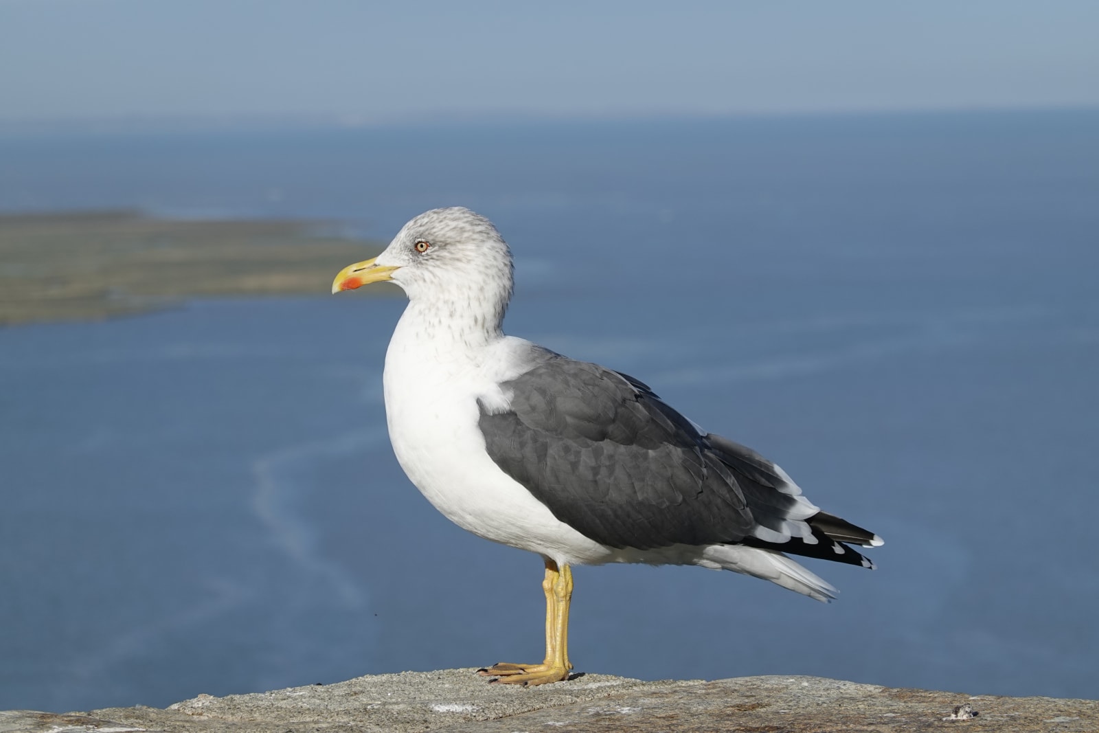 bretagne photo efc03505-765e-51c4-ad9f-1f5837a12af1