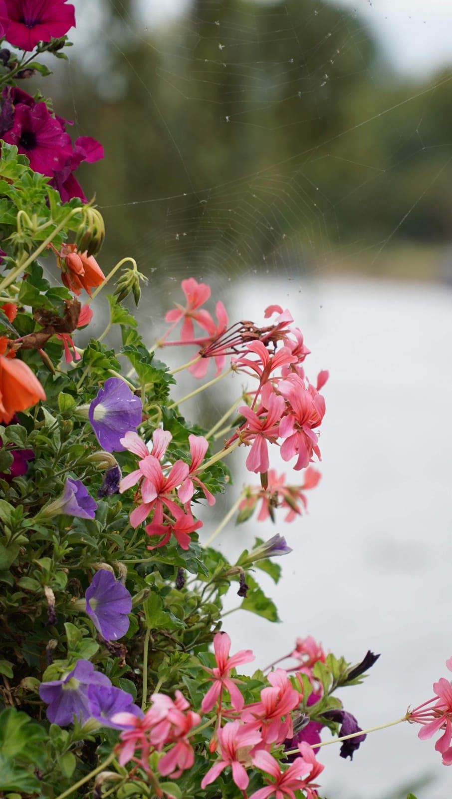 united-kingdom photo e03f6c6e-1eee-513a-ab39-7fd99389bd06