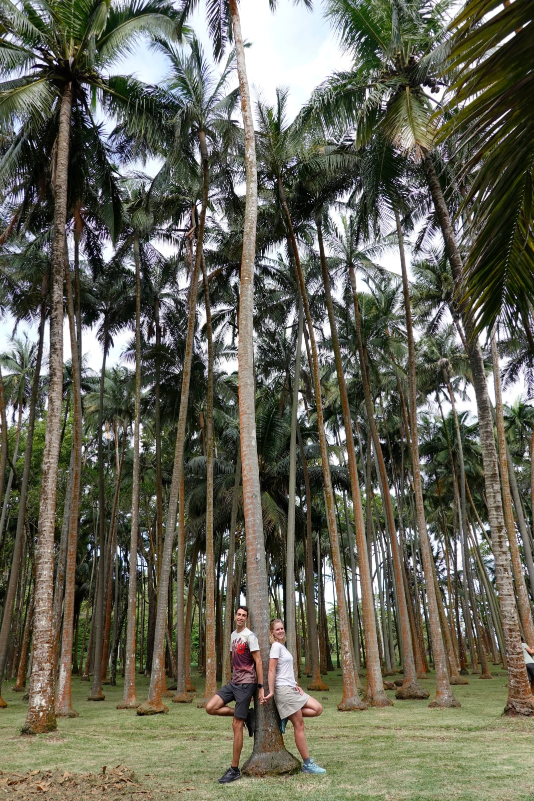 reunion photo 8f83f41d-e351-598c-a4c4-6b9cd88a6027