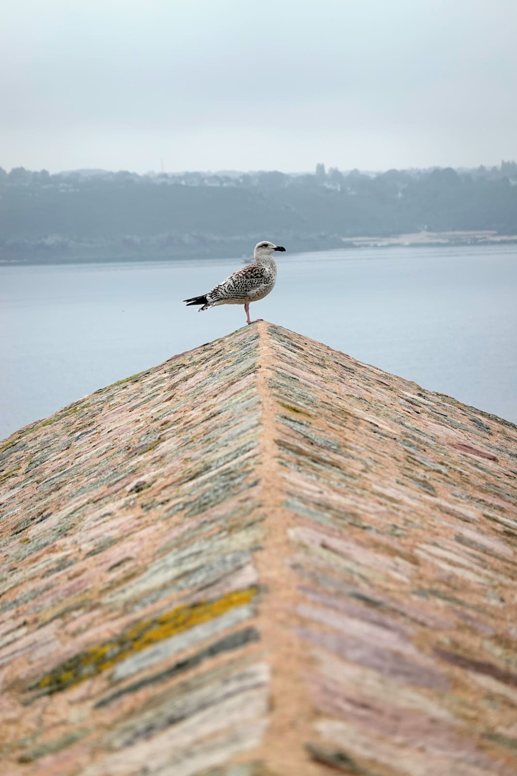bretagne photo 59ace3c9-5dad-554a-a658-165db6cf1b99