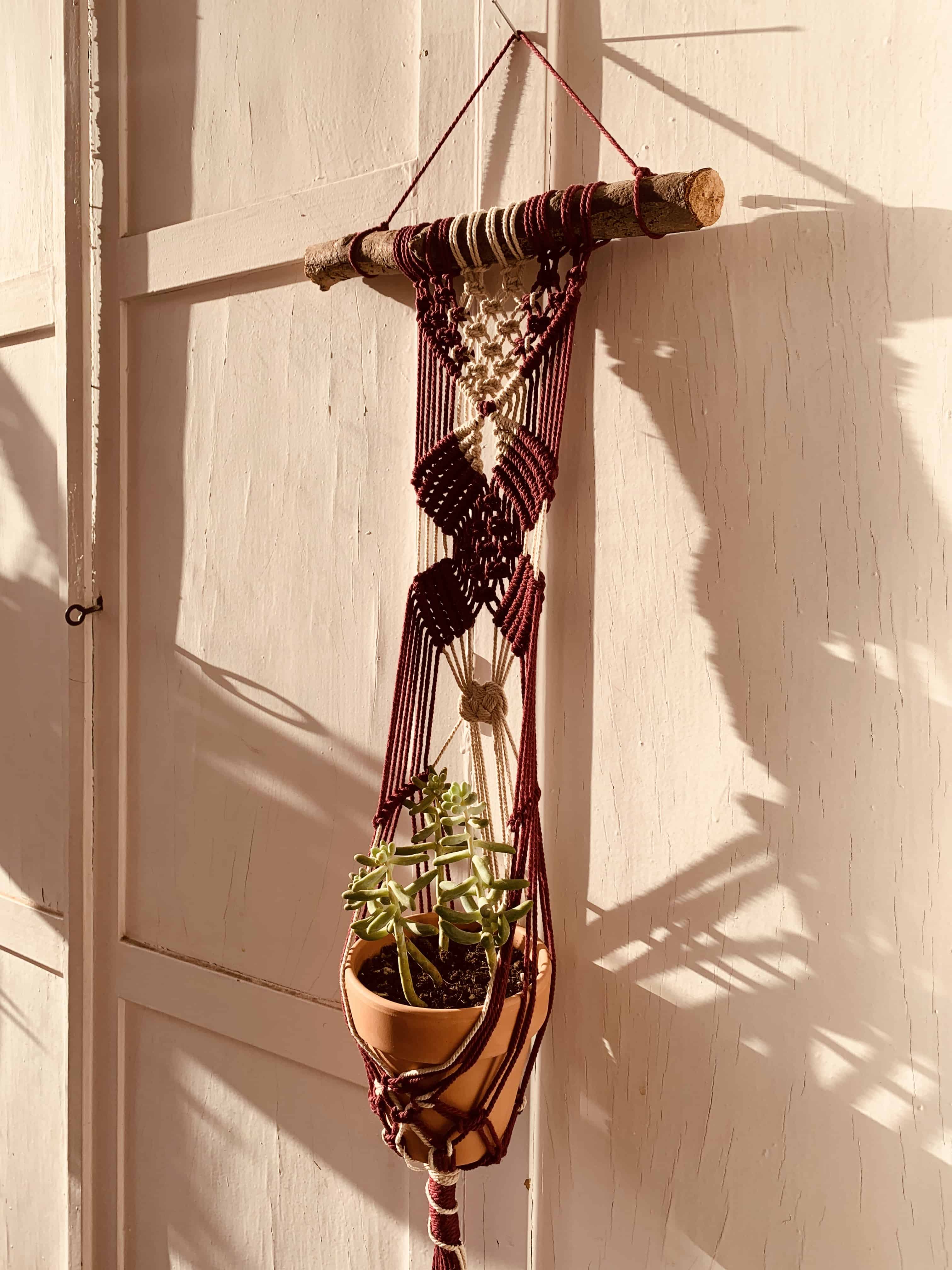 Plant hangers