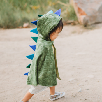 Baby Dragon Cape