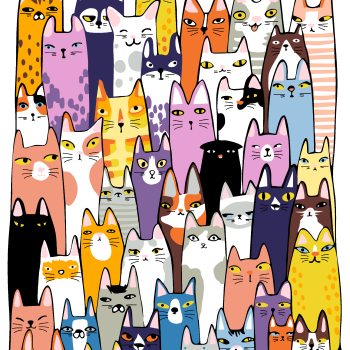 50 Cats