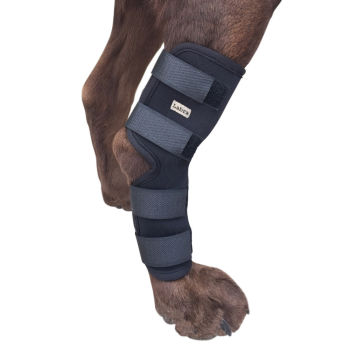 Extra Supportive Canine Hock Brace