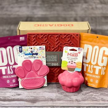 Birthday Cupcake Bundle Box for Chewing and Enrichment