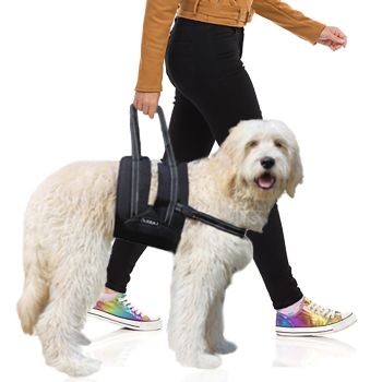 Canine Support Sling with Chest Strap