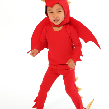 Red Dragon Costume