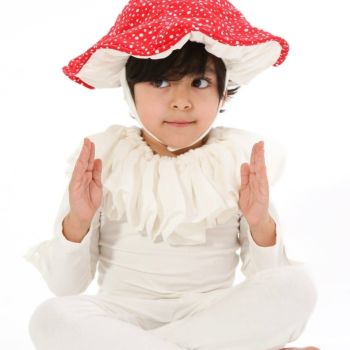 Mushroom Pajama Costume