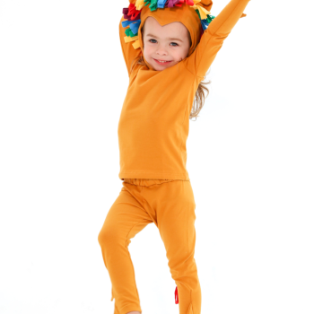 Rainbow Lion Costume