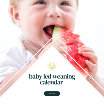 Baby led weaning calendar