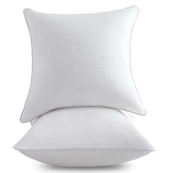 20 x 20 Throw Pillow Inserts