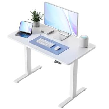 Standing Adjustable Desk Home Office Desk
