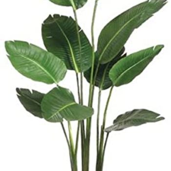 Silk Decor 5' Artificial Bird of Paradise Plant in Plastic Pot