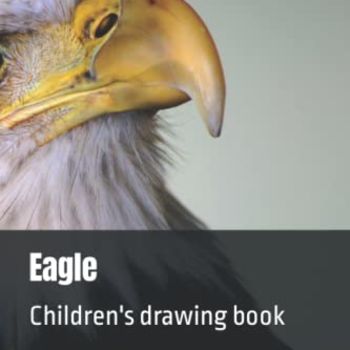 Eagle: Children's drawing book (Children's Drawing Series)