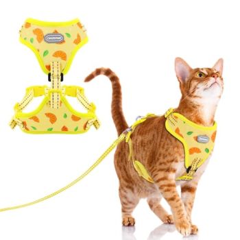 Cat Harness and Leash Set