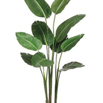 5 Feet Bird of Paradise Artificial Plants Indoor in Black Planter