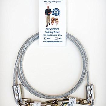 4 Ft. Chew-Proof Training Tether for Dogs & Puppies