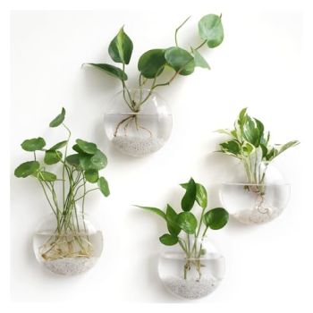 Wall Hanging Planter Propagation Station Glass Flower Vase for Hydroponics Plants