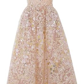 Tulle Embroidered Midi Dress