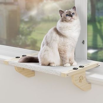 Cat Window Perch