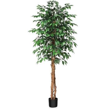 6ft Artificial Ficus Tree