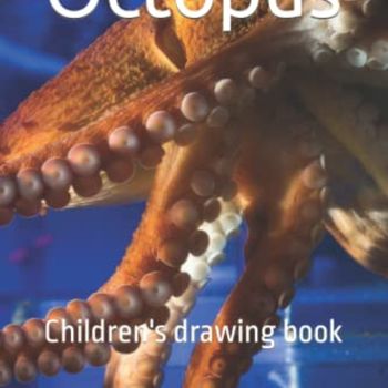 Octopus: Children's drawing book (Children's Drawing Series)