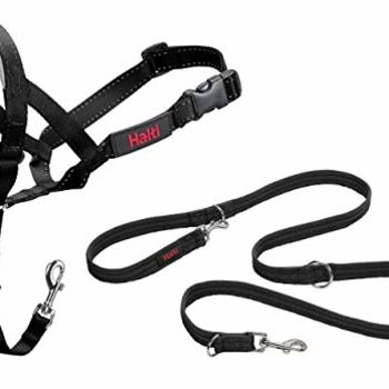Headcollar and Training Lead Combination Pack