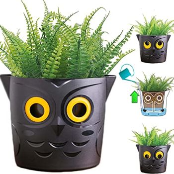 Self Watering for Indoor Outdoor Use