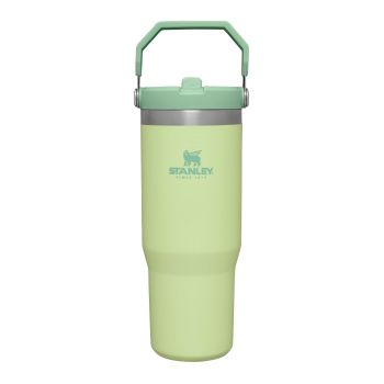 Stanley IceFlow Stainless Steel Tumbler