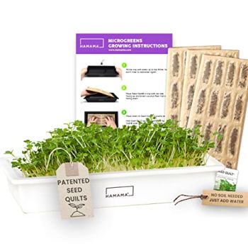 Microgreens Growing Kit