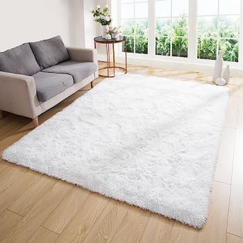 Rug for Living Room