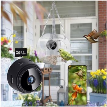 Bird Feeder
