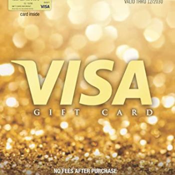 $100 Gift Card (plus $5.95 Purchase Fee)