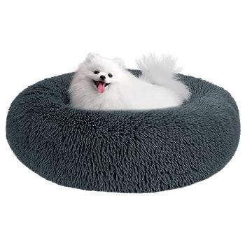 Small Dog Bed