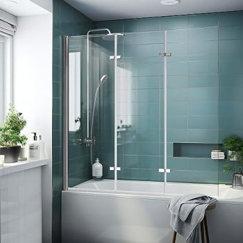 Glass Shower Door