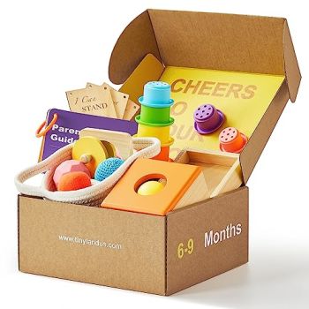 Montessori Toy Set for Babies 6-9 Months