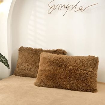 Decorative Pillows Covers