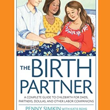 The Birth Partner 5th Edition: A Complete Guide to Childbirth for Dads