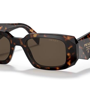 PR 17WS 2AU8C1 Tortoise Plastic Rectangle Sunglasses Brown Lens