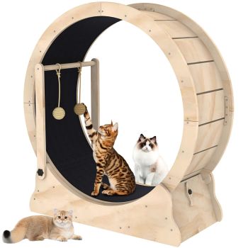 Cat Exercise Wheel