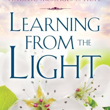 Learning From the Light: Pre-death Experiences