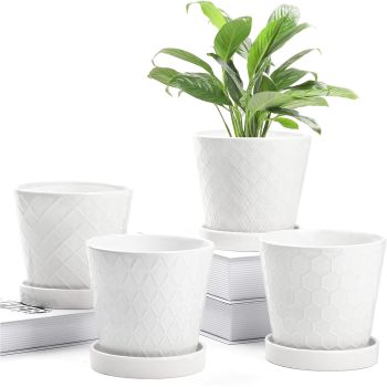 Plant Pots Indoor –5 inch Ceramic Flower Pot