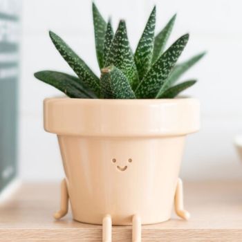 Indoor Plant Pot