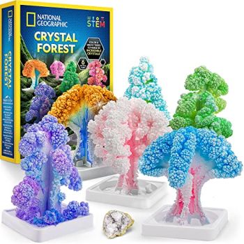 NATIONAL GEOGRAPHIC Craft Kits for Kids