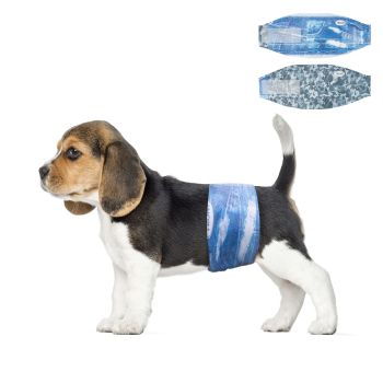 Dog Diapers Male Disposable Male Dog Wraps