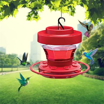 Hummingbird Feeder