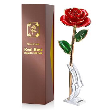 Gold Dipped Rose 24K Real Rose Flower