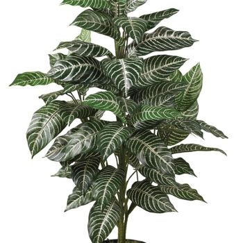 Zebra Silk Plant, Green 3 ft.
