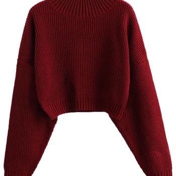 Women's Cropped Turtleneck Sweater Lantern Sleeve Ribbed Knit Pullover Sweater Jumper (1-Red